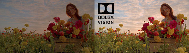 Dolby Vision