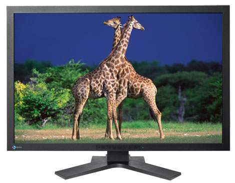 Click to enlarge Eizo CG303W