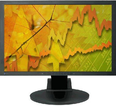 Click to enlarge Eizo S2232