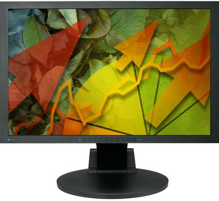 Eizo S2242W