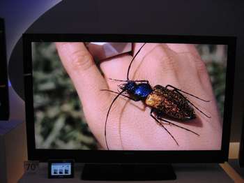 Click to enlarge IFA 2006
