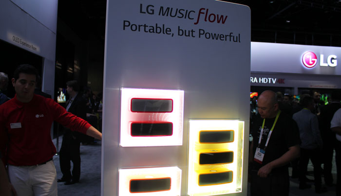 LG NP8350 portable speaker