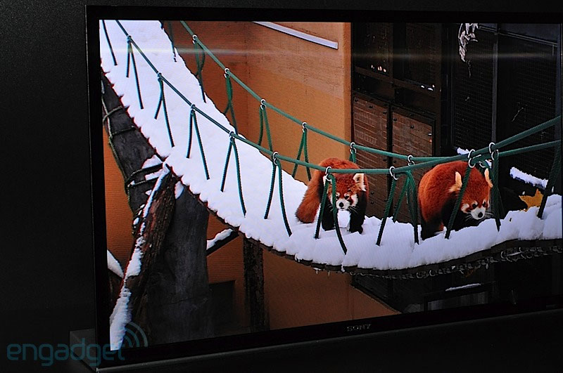 Sony has their 11-inch OLED-TV on the market now called XEL-1.