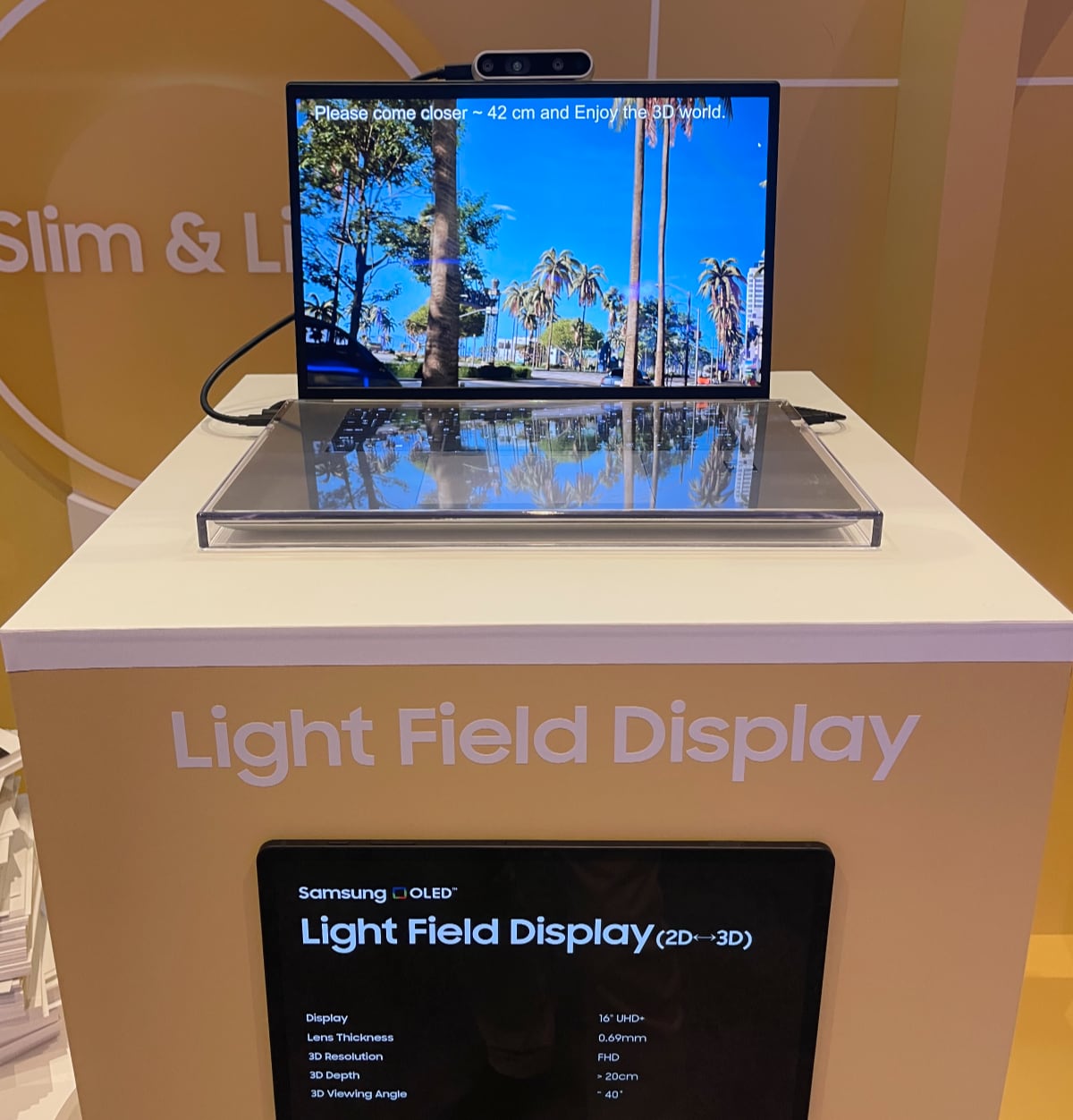 Glasses-free 3D OLED Glasses-free 3D OLED