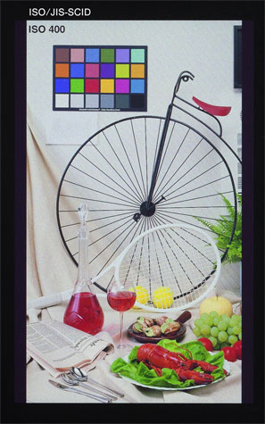 Click to enlarge Japan Displays 651ppi skćrm