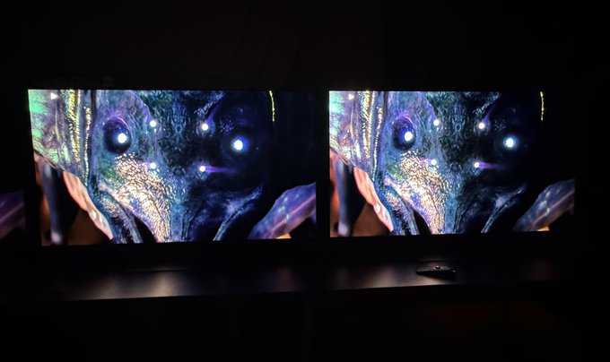 LG 2026 OLED