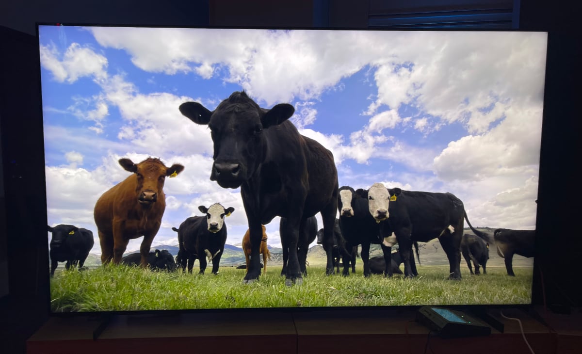 TCL X955 picture quality