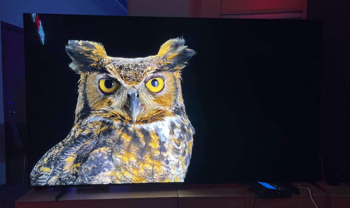TCL X955 blooming TCL X955 blooming