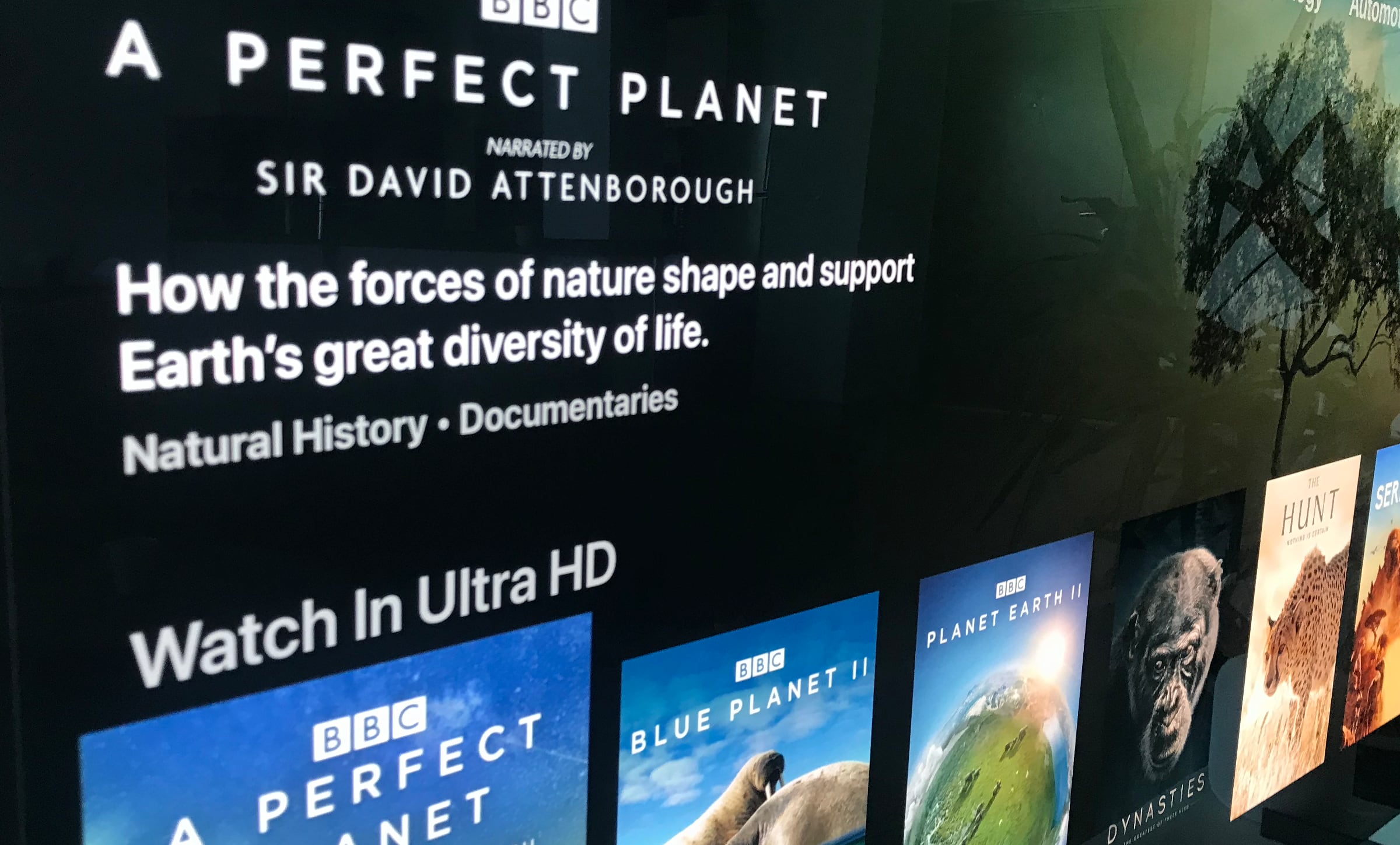 Learner Afdæk Visum Discovery+ launches today with 4K nature documentaries - FlatpanelsHD