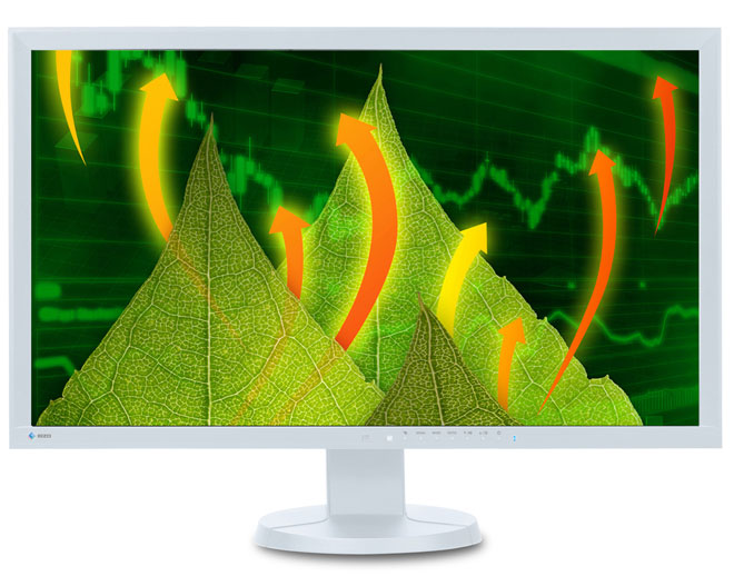 Click to enlarge Eizo’s new flicker-free EcoView monitors