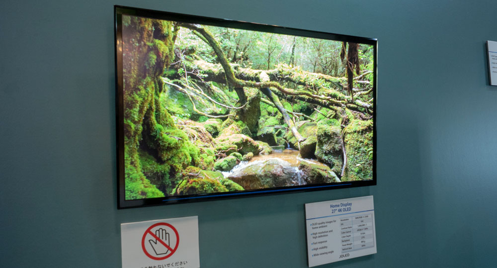 Japan OLED prototype