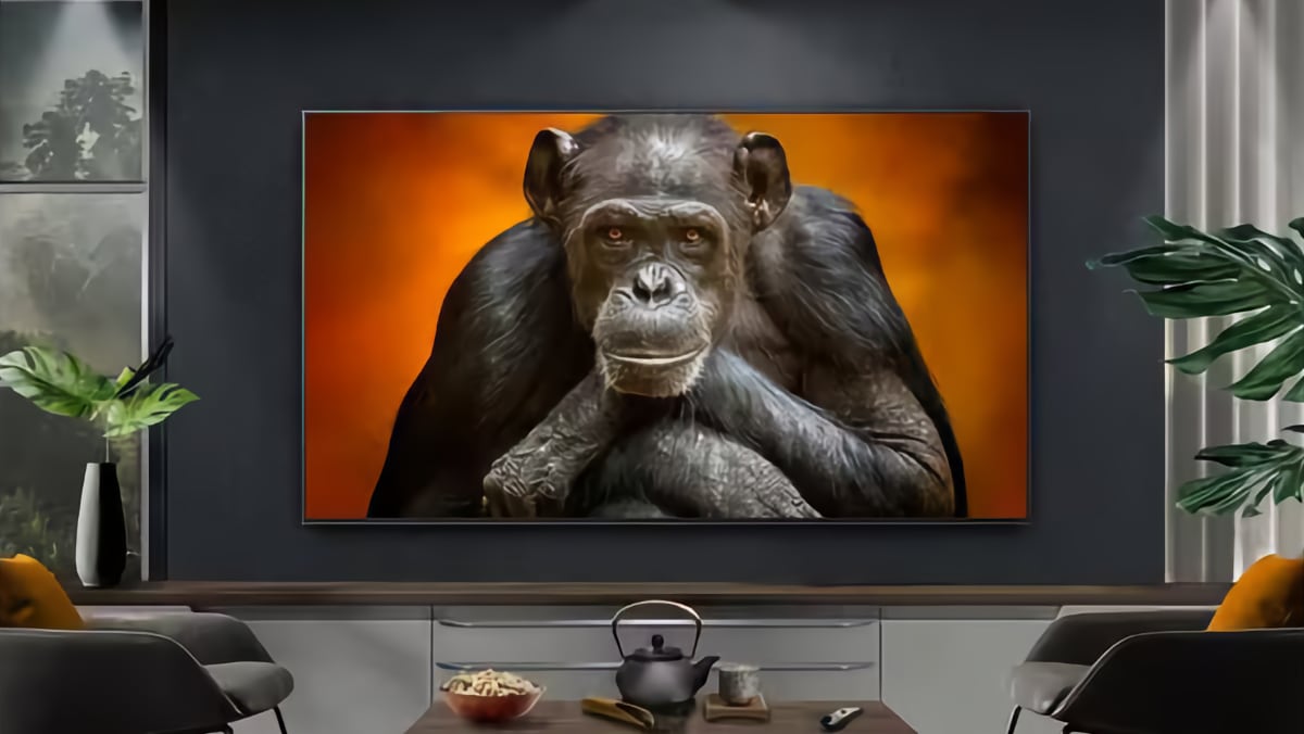 LG 2025 TV line-up