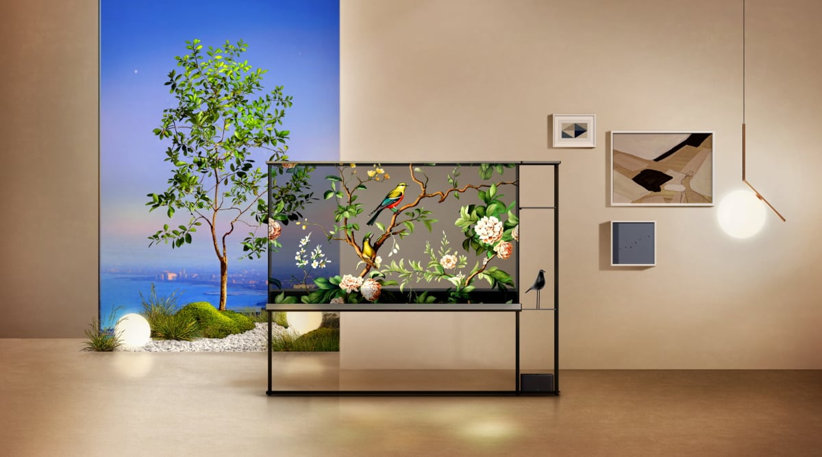 LG OLED T