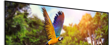 JVC 85-inch 4K TV