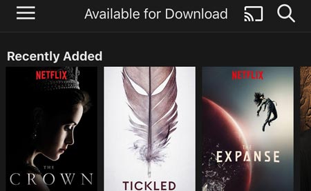 Netflix download