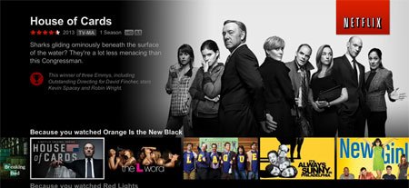 Netflix TV interface