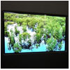 Japan Display showases new OLED