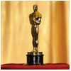 The Oscar winners 2013