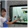 Samsung 46-inch transparent LCD production