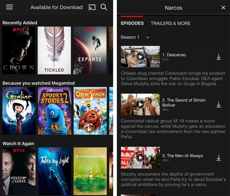 Netflix download