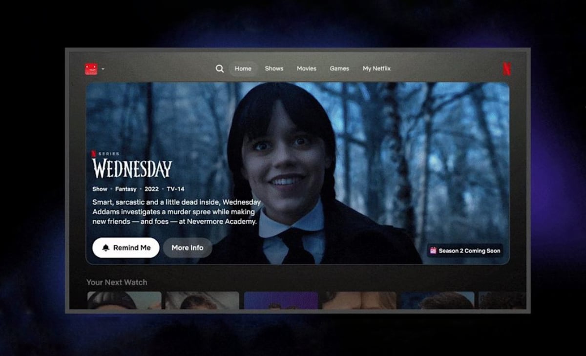 Netflix user interface