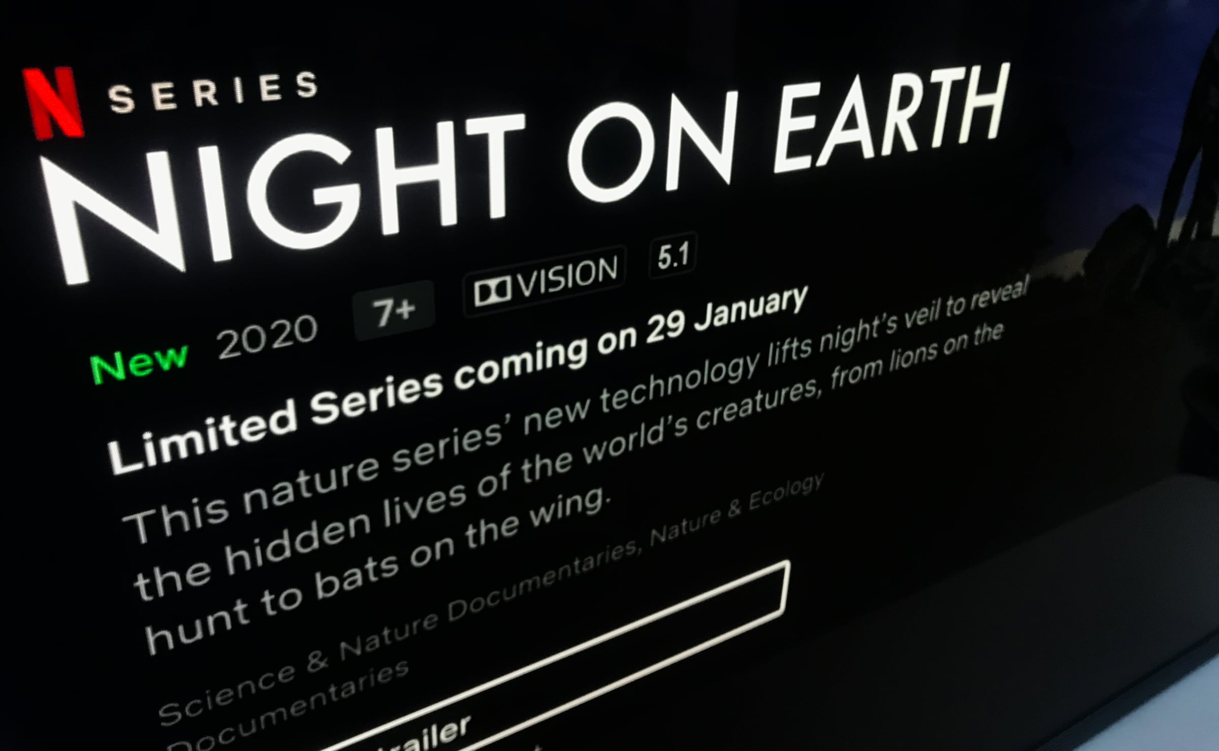 Next epic nature documentary from Netflix 'Night on Earth' - FlatpanelsHD
