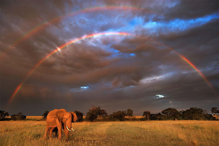 Our Planet Our Planet