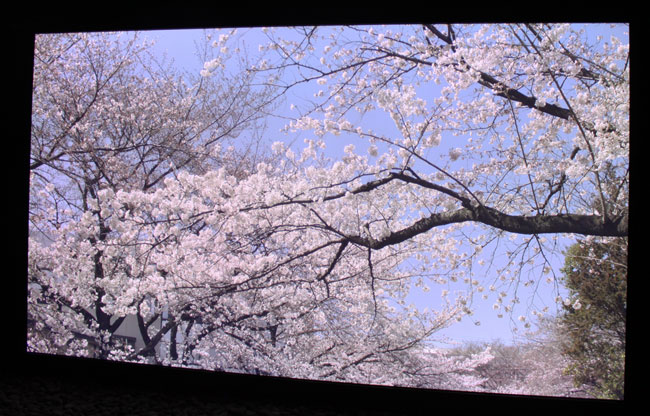 Click to enlarge Panasonic 8K TV