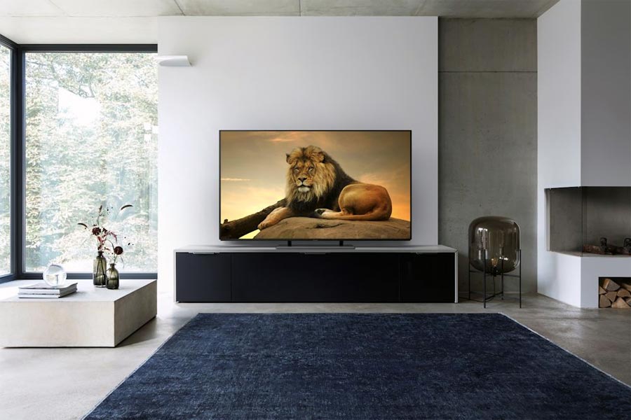 Panasonic EZ950 Panasonic EZ950