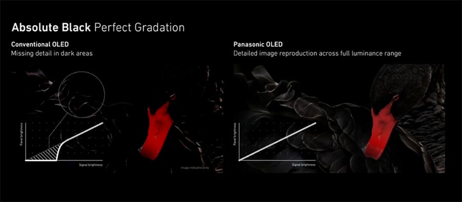Panasonic 2016 OLED prototype