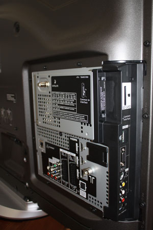 Panasonic V10