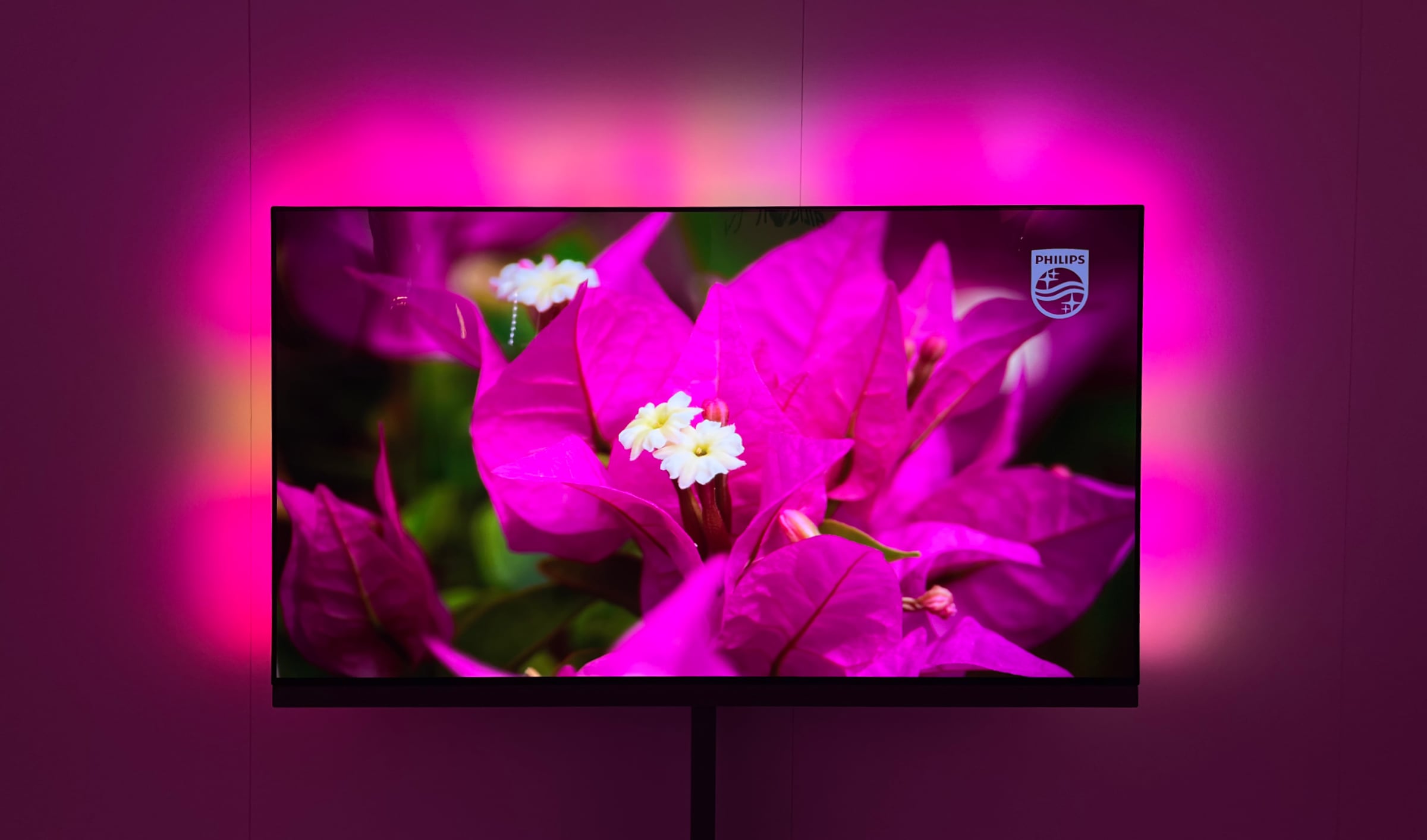 Ambilight Plus есть только во флагманской модели OLED959. Фото: FlatpanelsHD