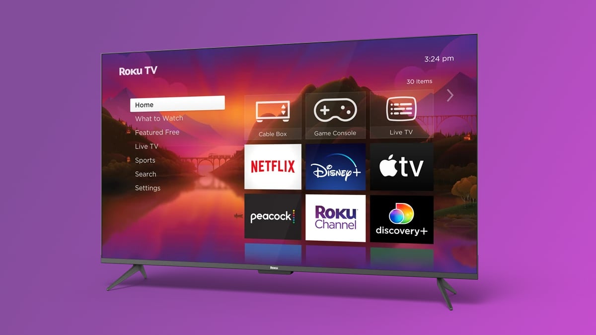 Roku made TVs