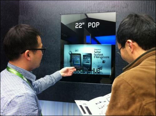 Transparent LCD panel