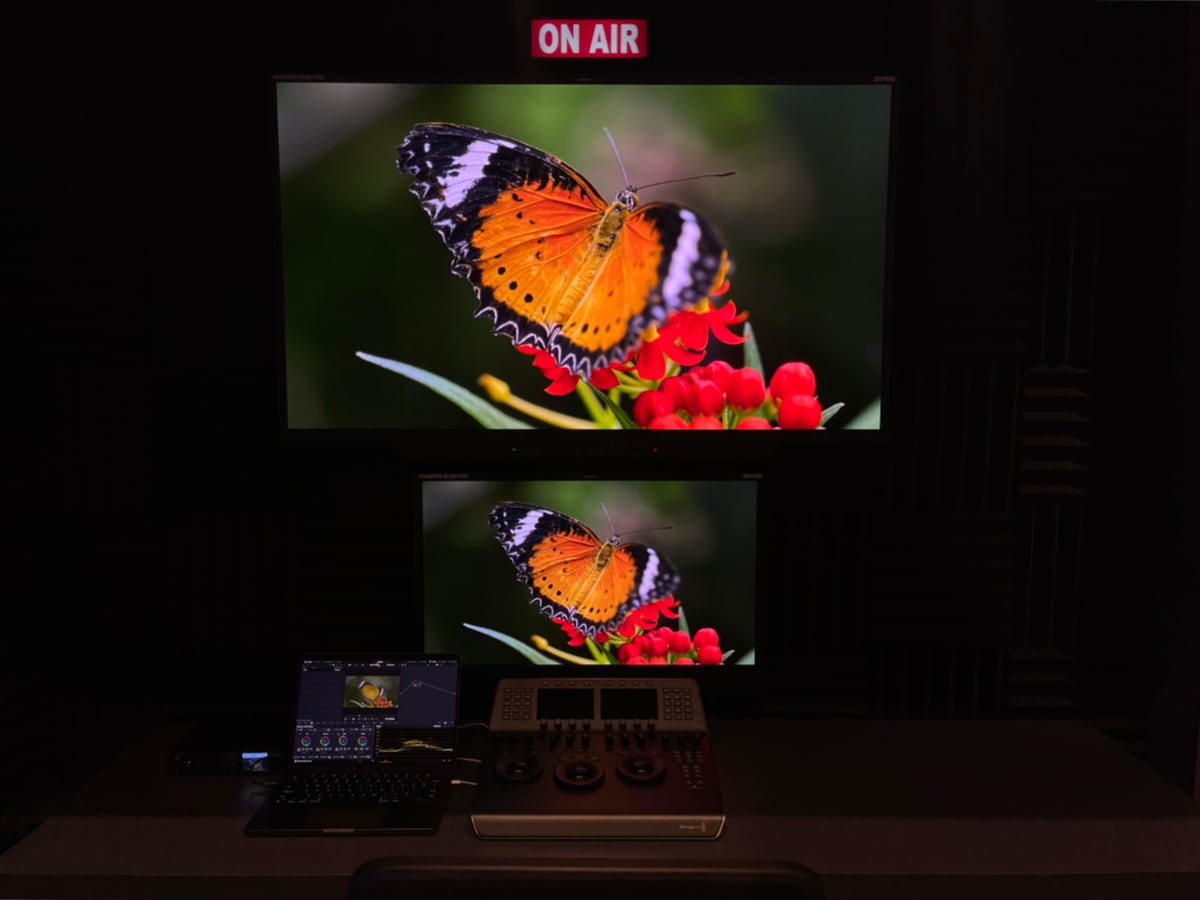 QD-OLED mastering monitor