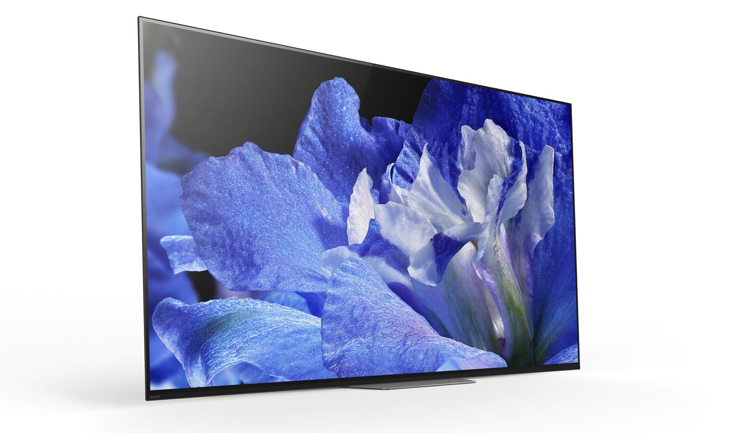 Sony kd 55x81j