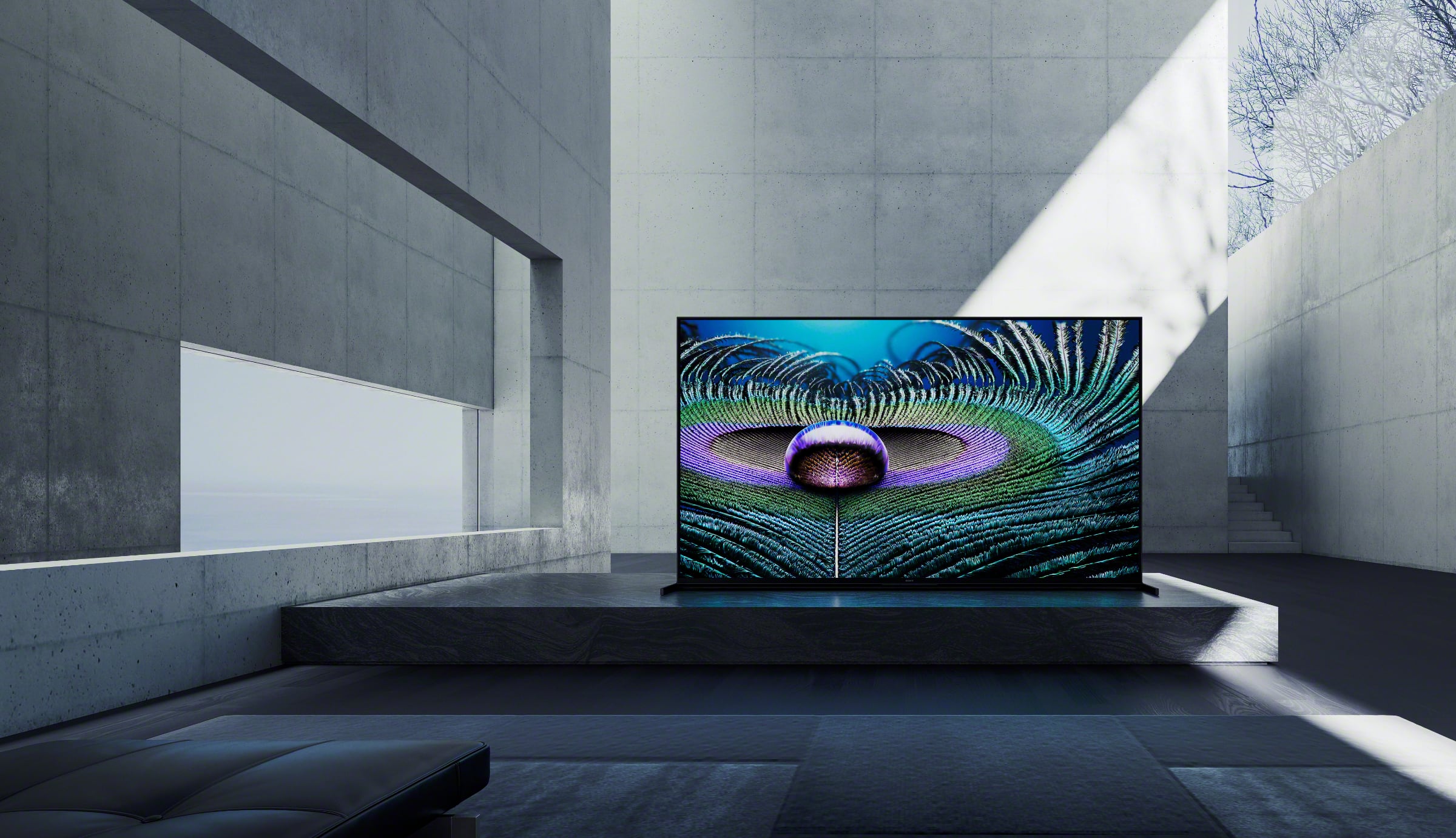 Sony z9j 2021 lcd tv