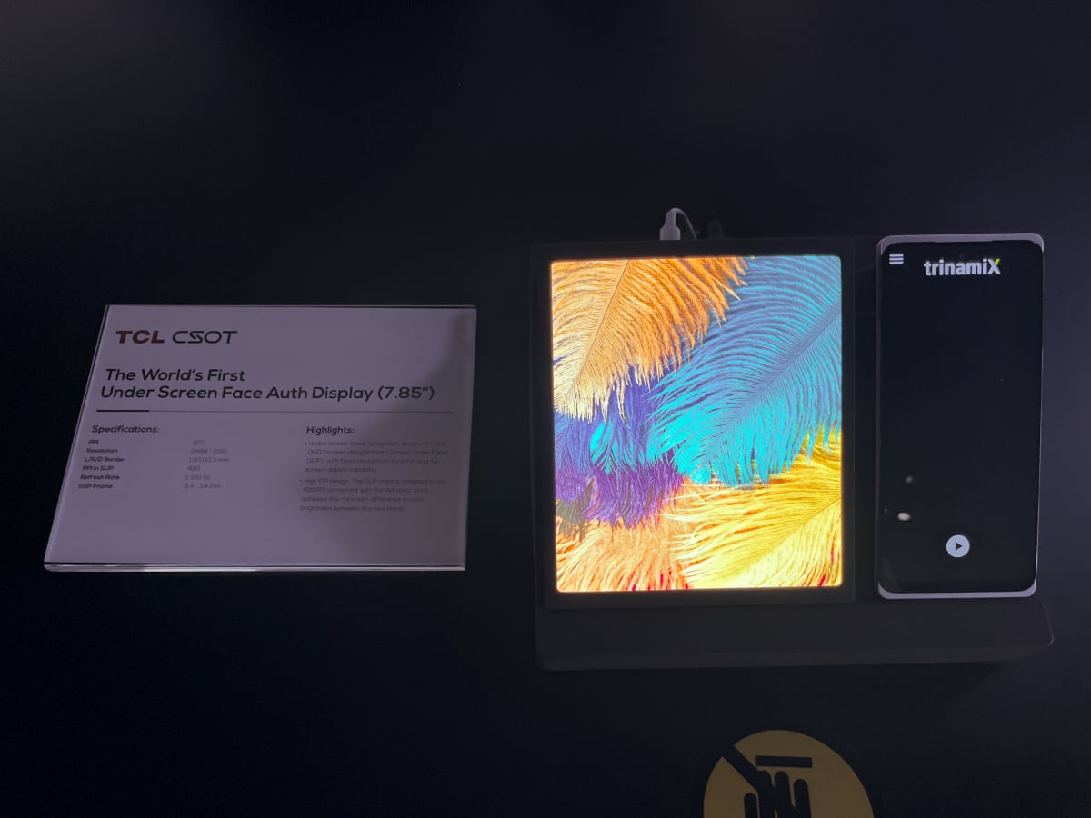 TCL OLED TCL OLED