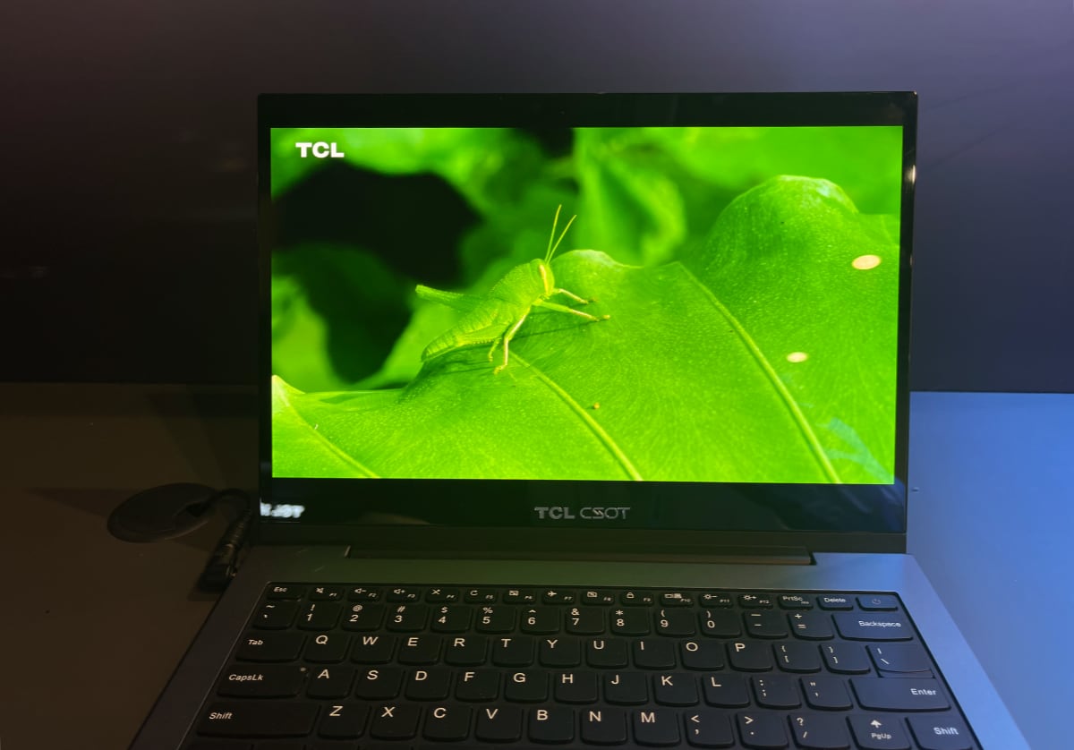 TCL CSOT OLED