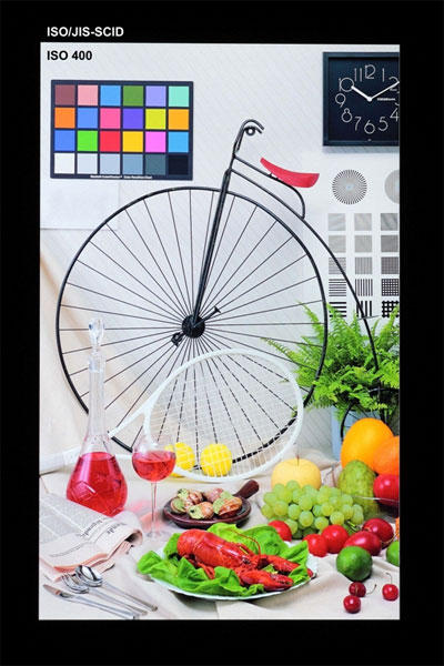 Click to enlarge Toshiba’s 6.1-inch 498ppi LCD panel