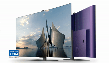 Transformable OLED TV