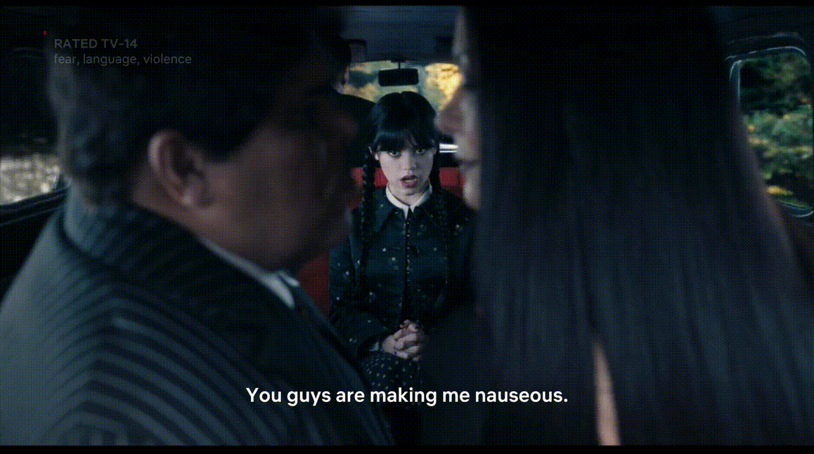 Netflix subtitles