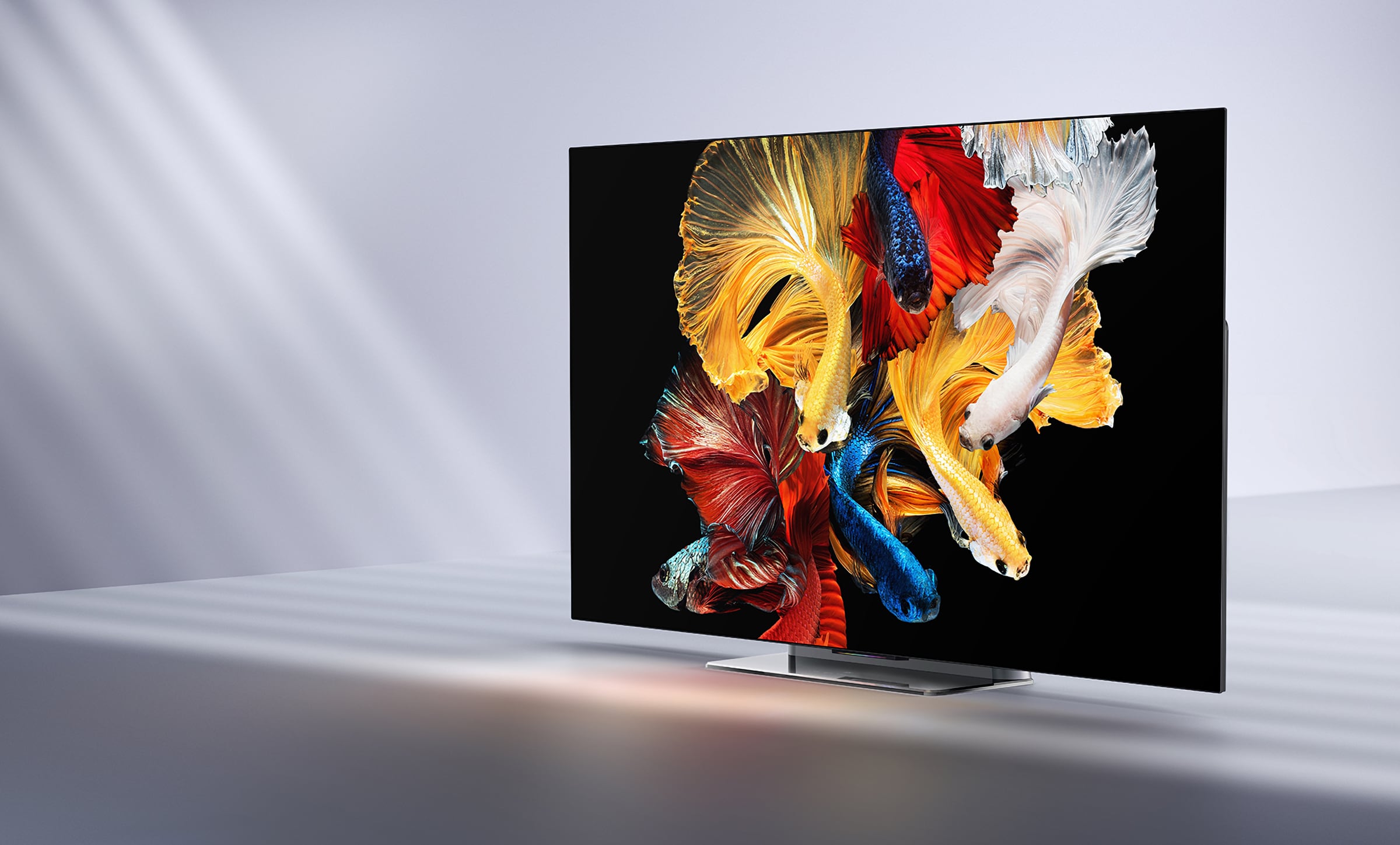 Mi Tv 6 Oled Купить